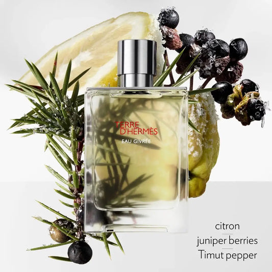 HERMES TERRE D'HERMES EAU GIVREE