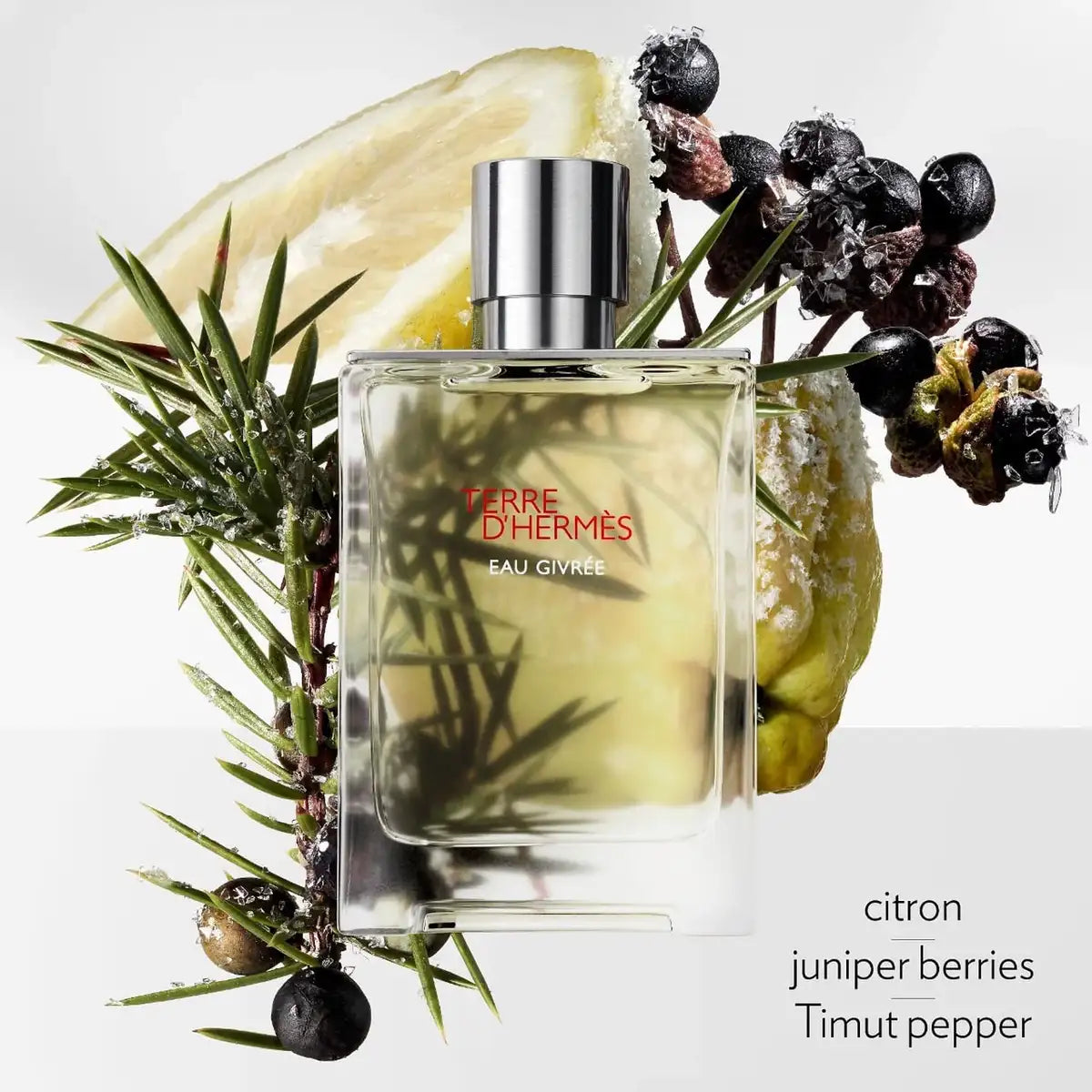 HERMES TERRE D'HERMES EAU GIVREE