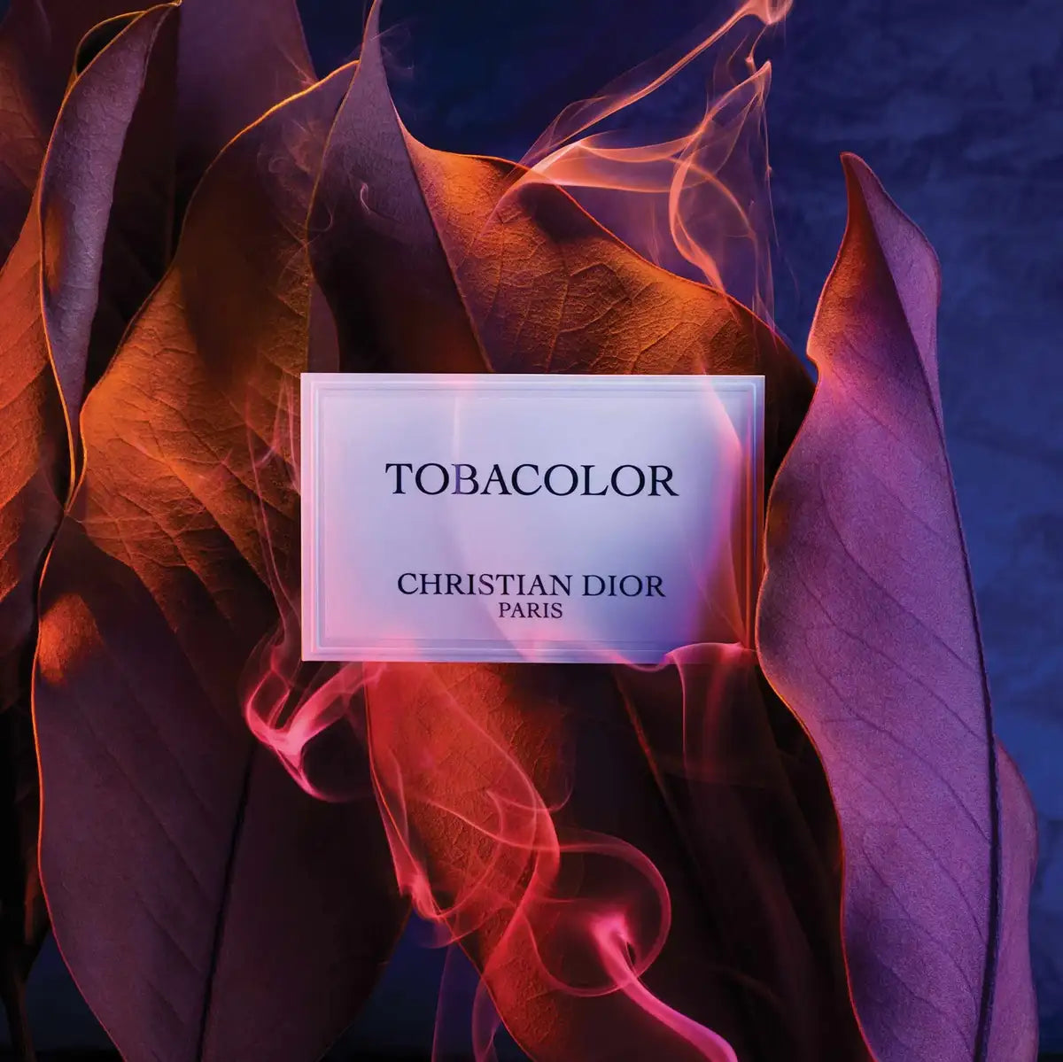 DIOR TOBACOLOR