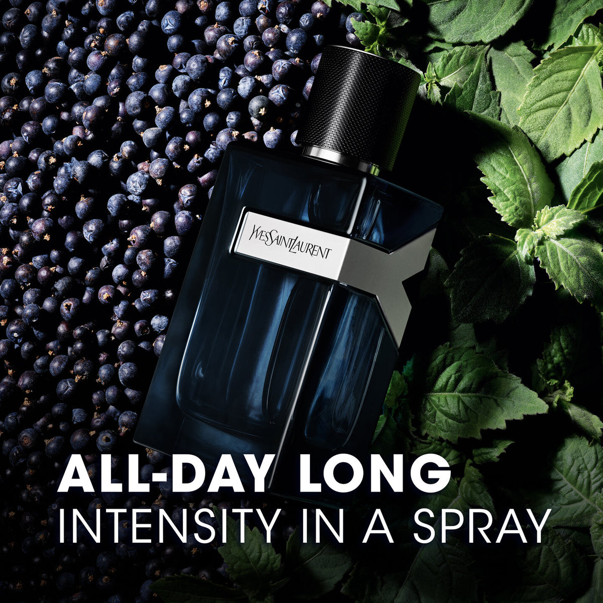YVES SAINT LAURENT Y EDP INTENSE