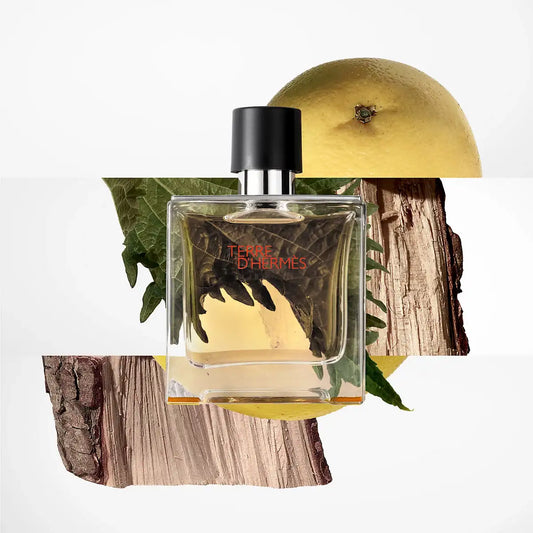 HERMES TERRE D'HERMES PARFUM
