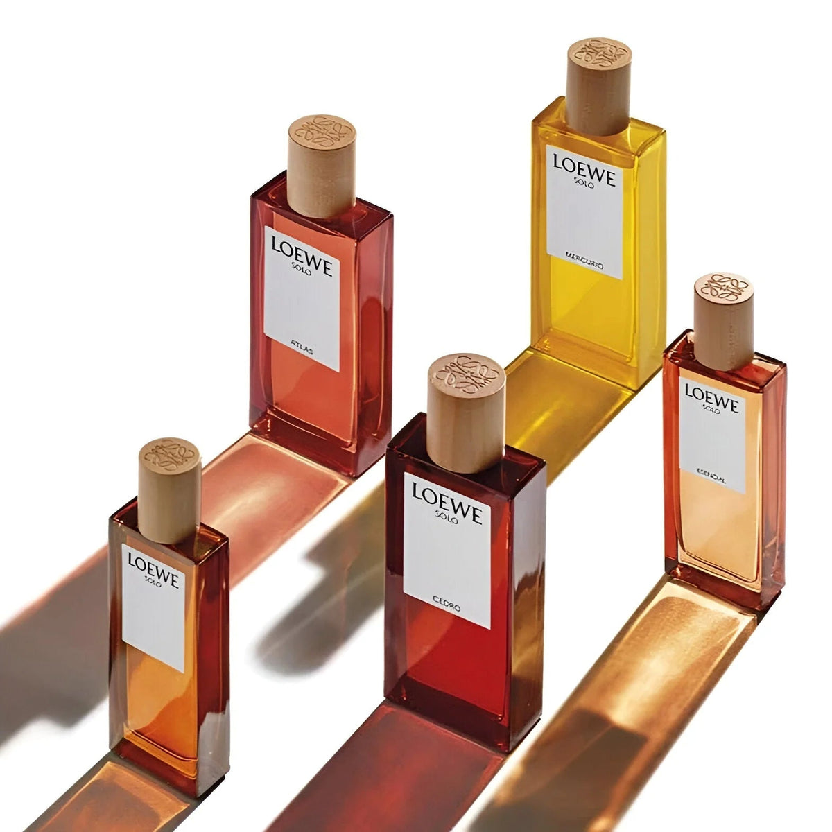 LOEWE SOLO MERCURIO