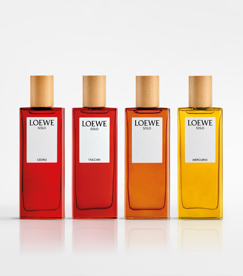 LOEWE SOLO MERCURIO